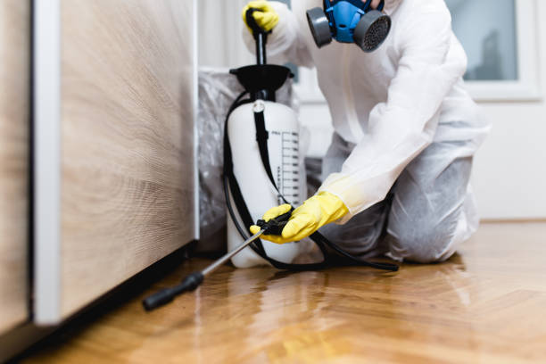 Best Pest Inspection Near Me  in Darien, WI