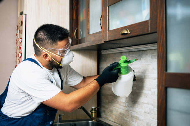 Wildlife Control Services in Darien, WI