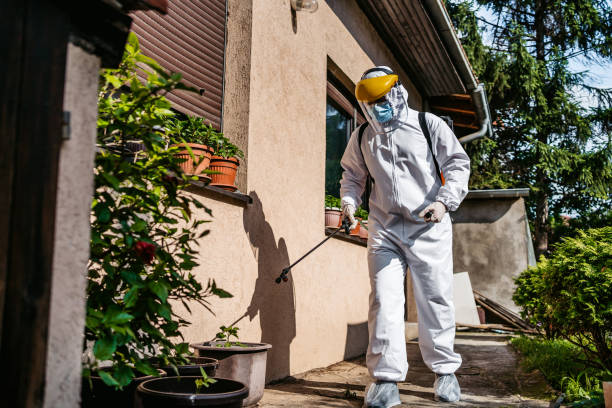 Best Local Pest Control Services  in Darien, WI