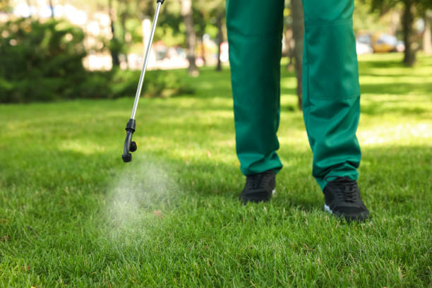 Best Cockroach Control Services  in Darien, WI