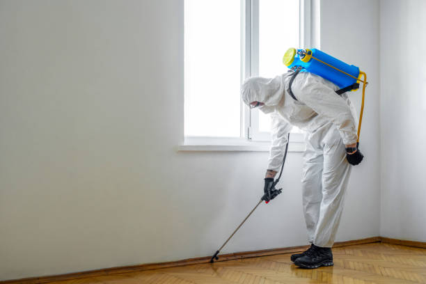 Pest Prevention Services in Darien, WI