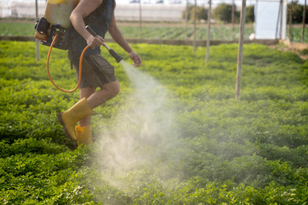 Best Pest Prevention Services  in Darien, WI