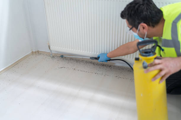 Professional Pest Control in Darien, WI