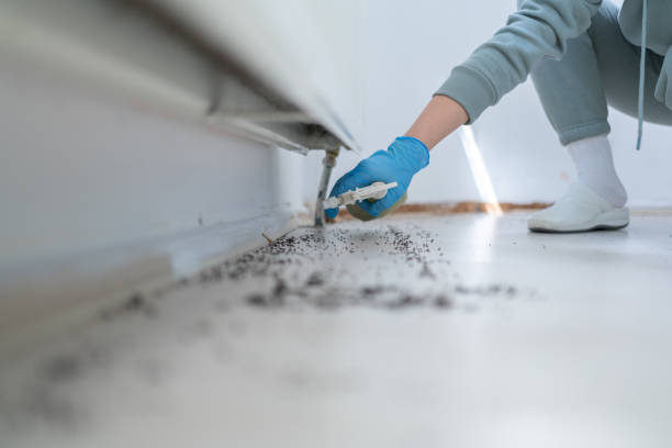 Best Emergency Pest Control  in Darien, WI